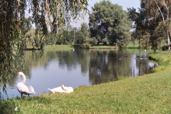 PARC DE L'EIBLEN