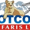 DOTCOM SAFARIS