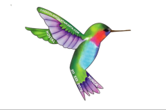 MINCA HOSTAL COLIBRI