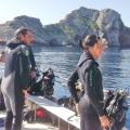 DIVE PARADIS