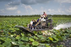 AIRBOAT TOURS BY ARTHUR