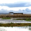 EVOA - SANTUARIO DE AVES Y OBSERVACIÓN DE AVES