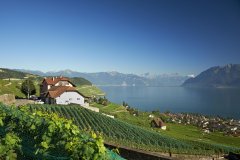 Bourg-en-lavaux Single Aktivitäten