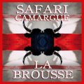 SAFARI CAMARGUE LABROUSSE