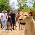 SAFARI ADVENTURES