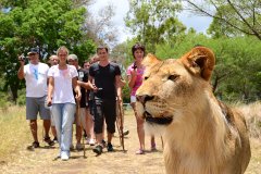 SAFARI ADVENTURES