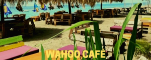 WAHOO CAFE