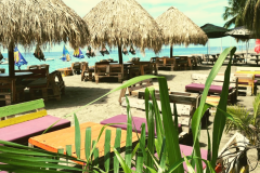 WAHOO CAFÉ