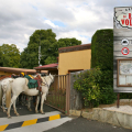 LE RANCH DES VOLCANS