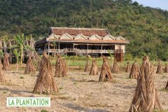LA PLANTATION