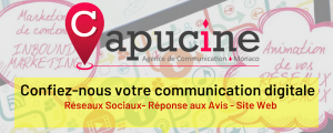 CAPUCINE AGENCY