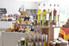 DOMAINE DES ROSEAUX ET SA MAISON DE PAYS