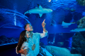 CAIRNS AQUARIUM
