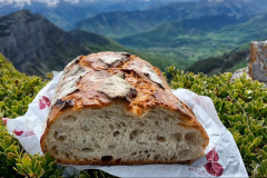 BOULANGERIE-PATISSERIE BERTERREIX