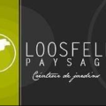 LOOSFELD PAYSAGE