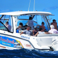 LES BALADES EN MER DE POMME CANNELLE