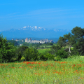 OFICINA DE TURISMO GRAND CARCASSONNE