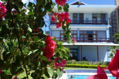 FIGTREE GUESTHOUSE