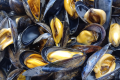 MOULES BROTHERS