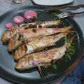ZEFIROS ANEMOS