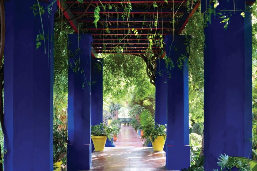 JARDIN MAJORELLE