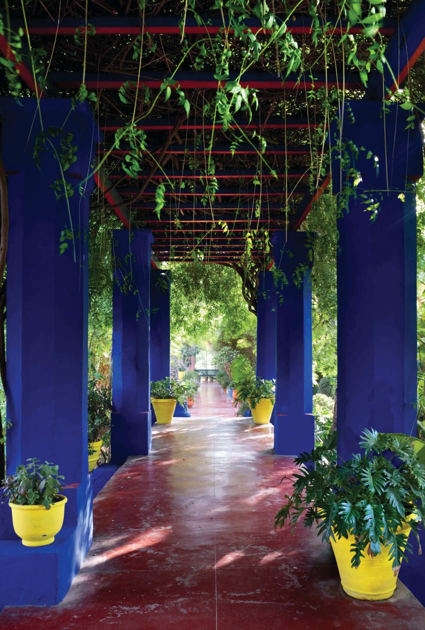 JARDIN MAJORELLE (© JARDIN MAJORELLE))