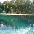 ECOLODGE LES TROIS PAONS