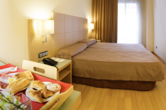 HOTEL CONDES DE HARO