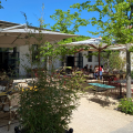 LE CAFÉ DU SOLEIL