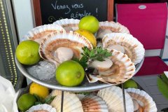COMPTOIRS DE L'OCEAN