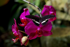 NATUROSPACE