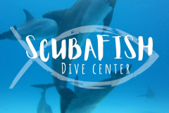 SCUBAFISH DIVE CENTER