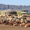 ACTIVE ET ADVENTURE TOURS MONGOLIA