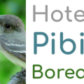 HOTEL PIBI BOREAL