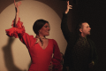 CENTRO CULTURAL FLAMENCO DE MADRID