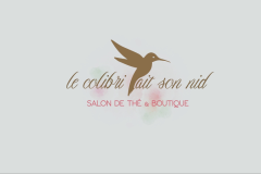 LE COLIBRI FAIT SON NID