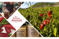 PIMENT ET MOUTARDES DU PÉRIGORD