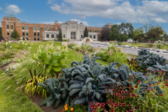 JARDIN BOTANIQUE DE MONTRÉAL