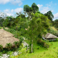 CHAN CHICH LODGE