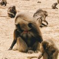 TRAVEL AFRICA TOURS