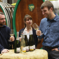 DOMAINE DE L'ENVOL