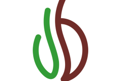 CAFÉS MIGUEL