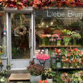 LIEBE BLUME
