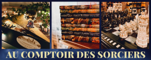 AU COMPTOIR DES SORCIERS