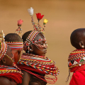 NEW AFRICAN TERRITORIES