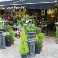 GILLES SONNET FLEURISTE