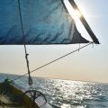 TRADITIONAL DHOW SAFARIS