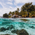 BLUE HEAVEN ISLAND