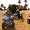 OMNI TOURS