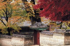 PALAIS CHANGDEOKGUNG